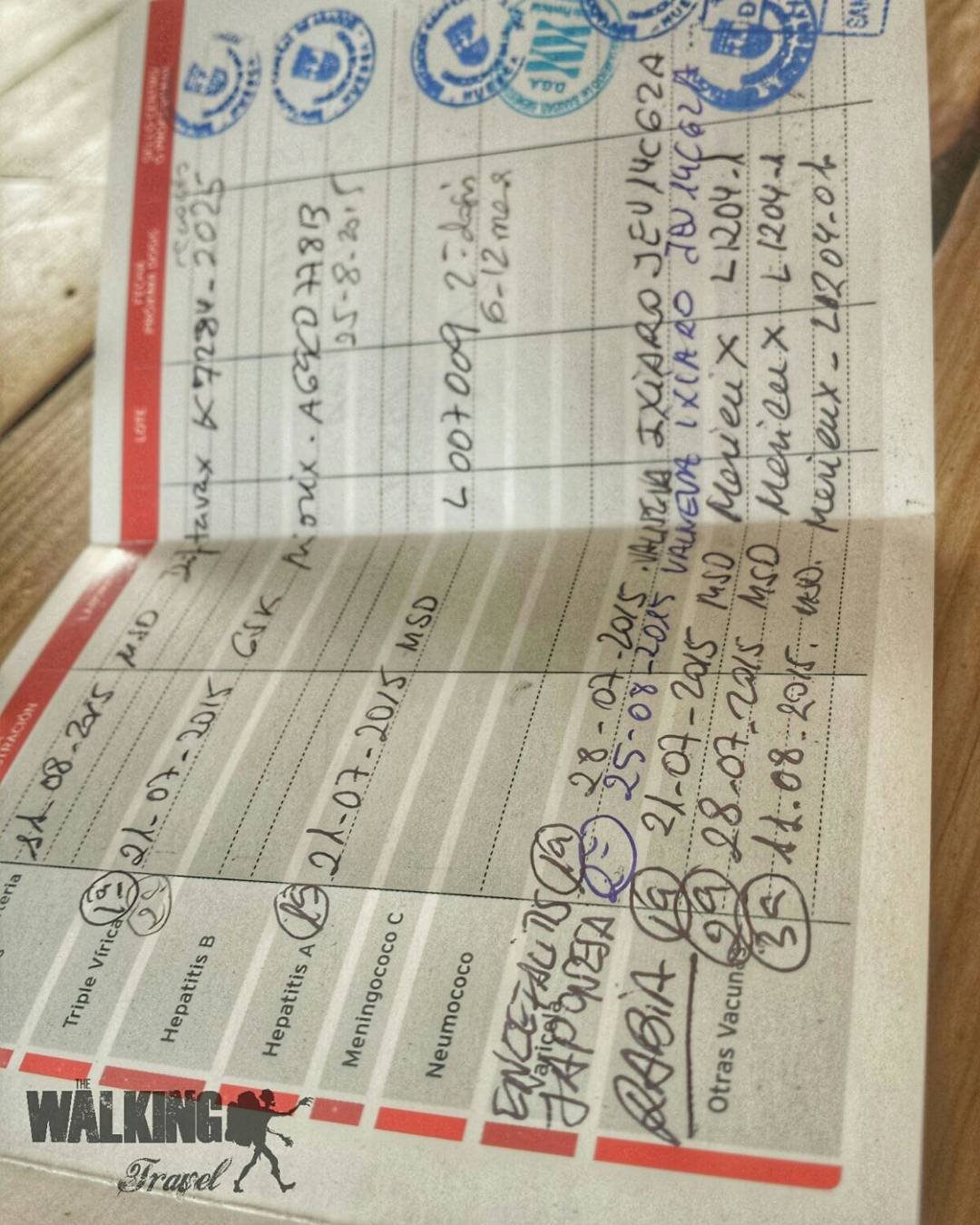 11887062_901024406645521_1273929636_n(1)