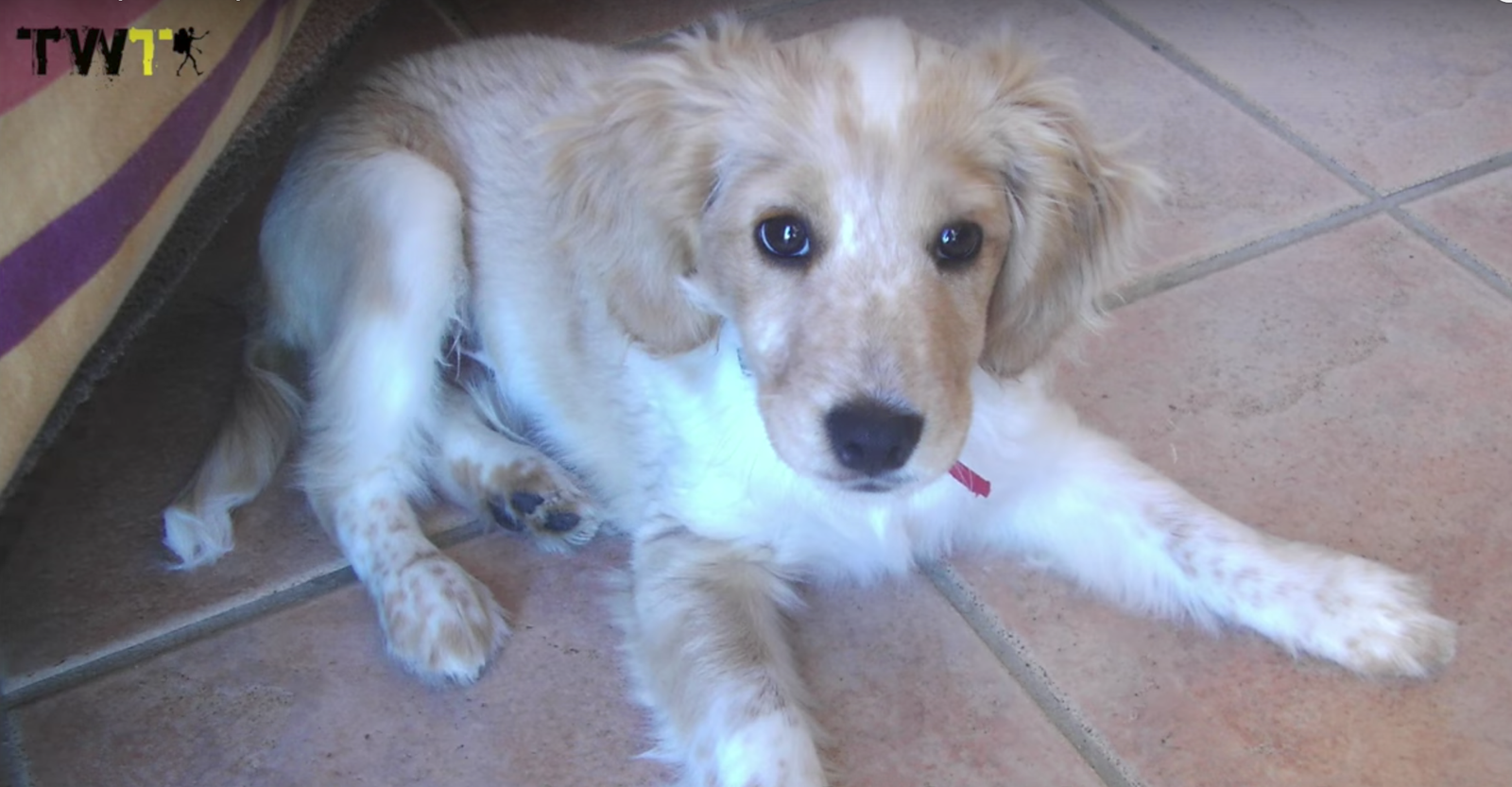 Captura de pantalla 2017-06-01 a las 19.16.17